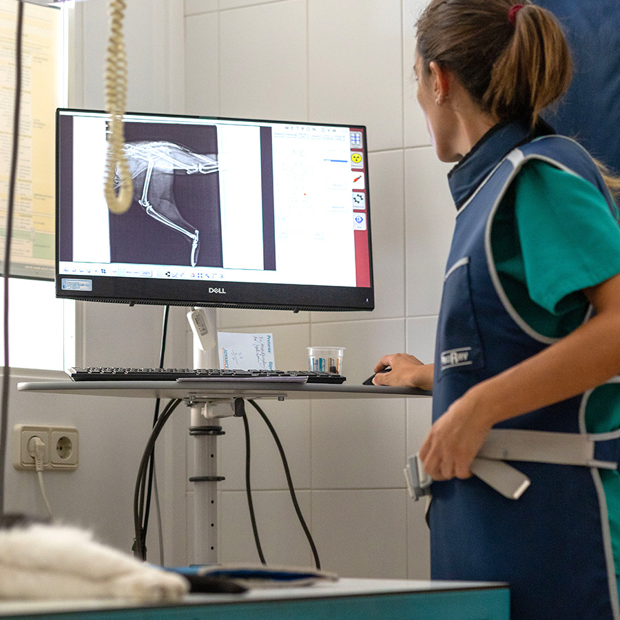 Serveis Veterinaris de la Cerdanya - Puigcerà